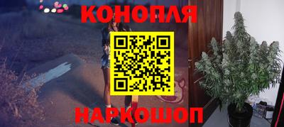 стаф Моздок