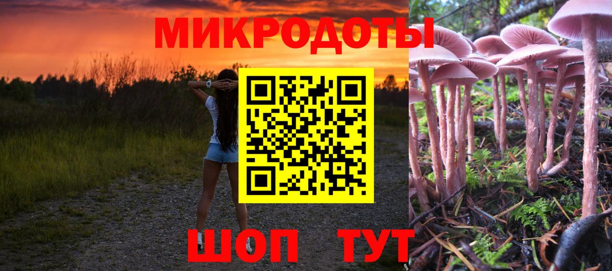 Галлюциногенные грибы Psilocybine cubensis Грязи