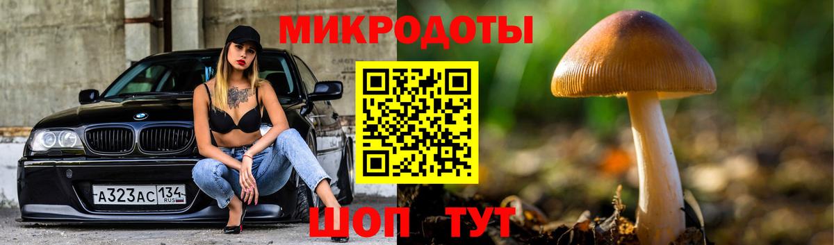 Грязи  Галлюциногенные грибы Psilocybine cubensis  Вход с VPN 