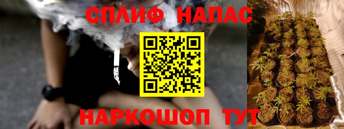 Марихуана SATIVA & INDICA Грязи